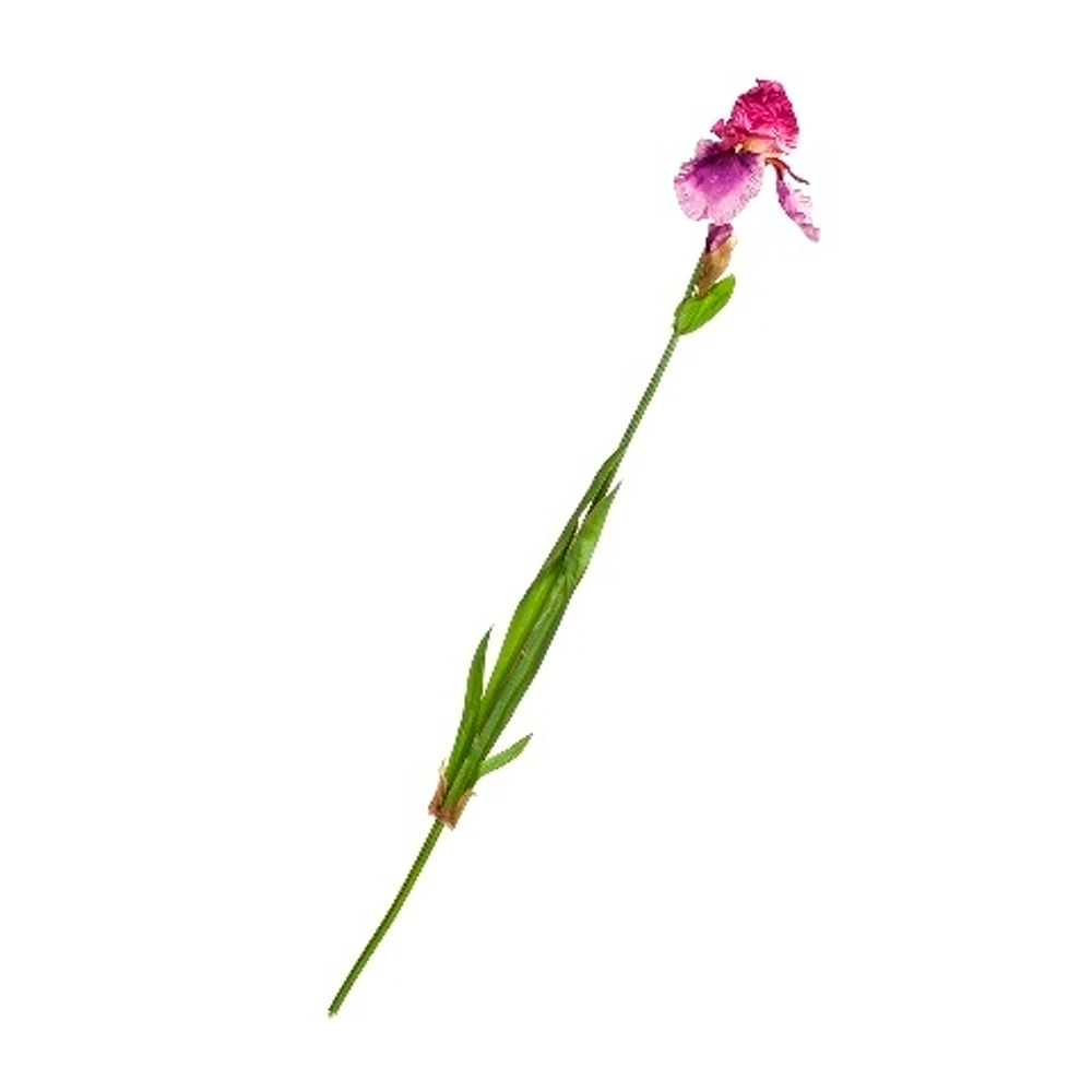 Искусственный цветок Ирис Silk-Ka 104716