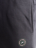 Брюки спортивные F5