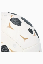 Футбольный мяч Nike Pitch размер 5 - белый