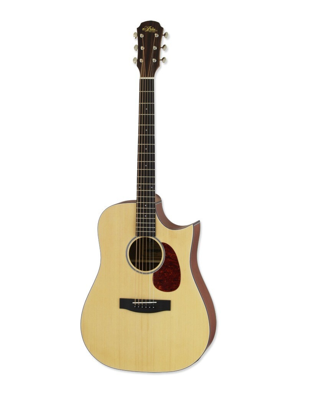 ARIA ARIA-111CE Matte Natural