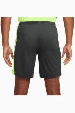 Шорты Nike Dri-FIT Academy - серый