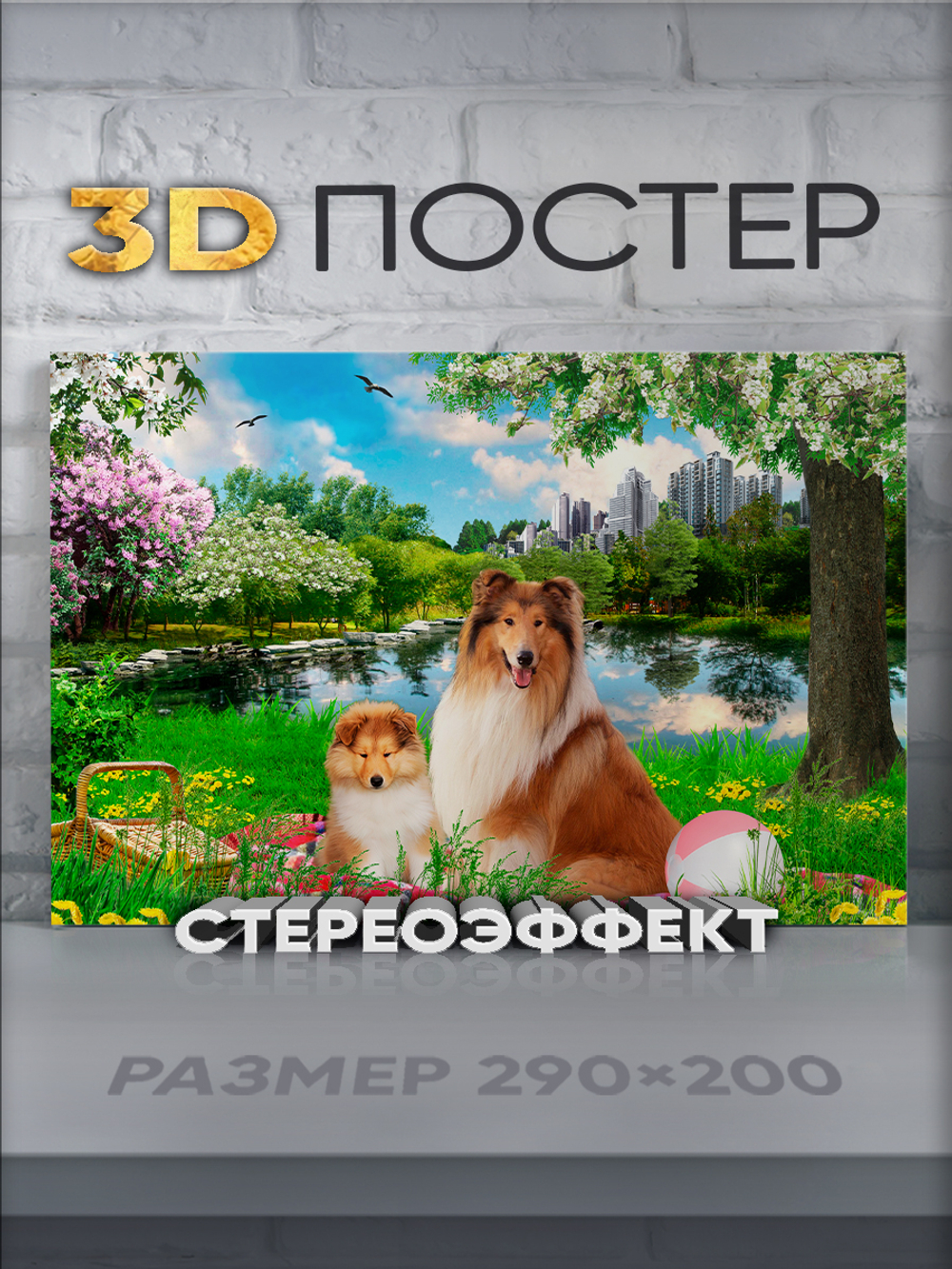 Стереопостер с 3D-эффектом "Собаки колли"