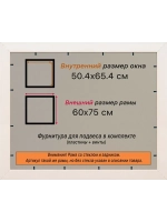 Рамка для постера и фотографий 50x65