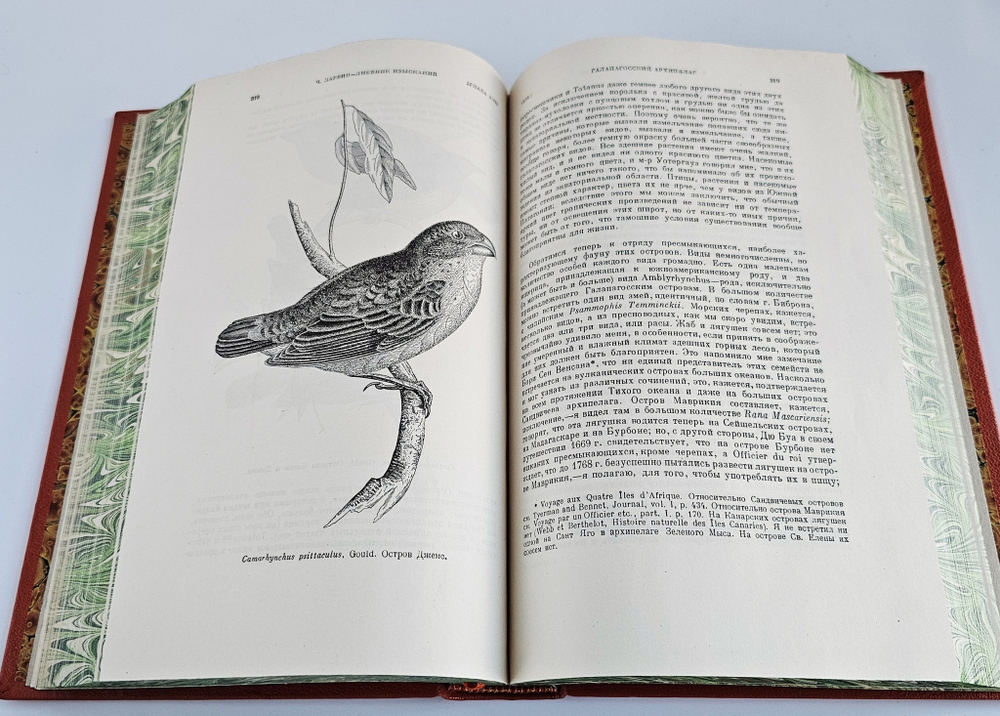 "Путешествие натуралиста вокруг света на корабле «Бигль»". Чарлз Дарвин. 1941 г.