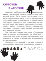 Карточки в лапочке. Финансы (33 карточки с заданием на обороте)