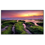 Профессиональный дисплей Samsung QB75B