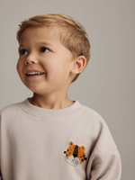 Толстовка и джоггеры в комплекте для мальчика Next B16-821, Серый, Коричневый