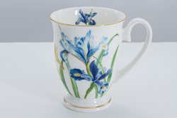 Кружка 280мл Anna Lafarg Stechcol Ирисы