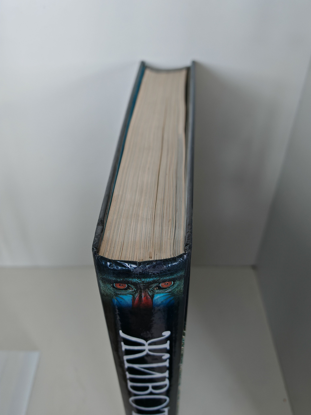 Животные. Большая иллюстрированная энциклопедия животных всего мира