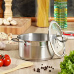 Кастрюля нерж, 2.5 л, с крыш, крышка стекло, Daniks, Бонн, GS-01319-18CA, индукц
