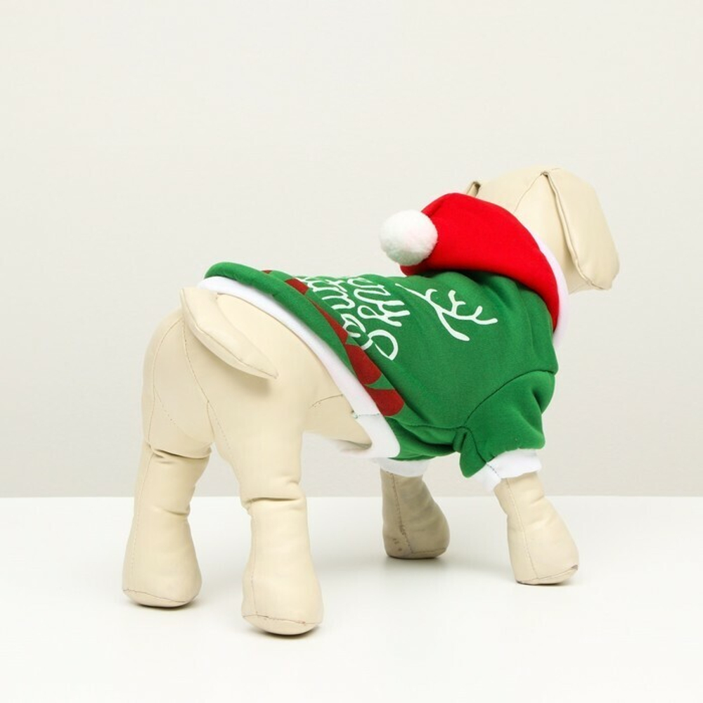 Толстовка Merry Christmas XS, ДС 16 см; ОГ 27 см