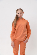 Худи дл/р с капюш. д/д DELORAS 21533