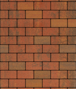 Тротуарная плитка ВЫБОР, форма Прямоугольник 100*200, h=80мм