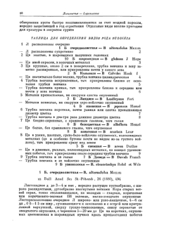 Деревья и кустарники СССР. Покрытосеменные семейства Логанивые-сложноцветные Том 6 | С.Я. Соколов