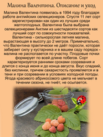 Малина Валентина