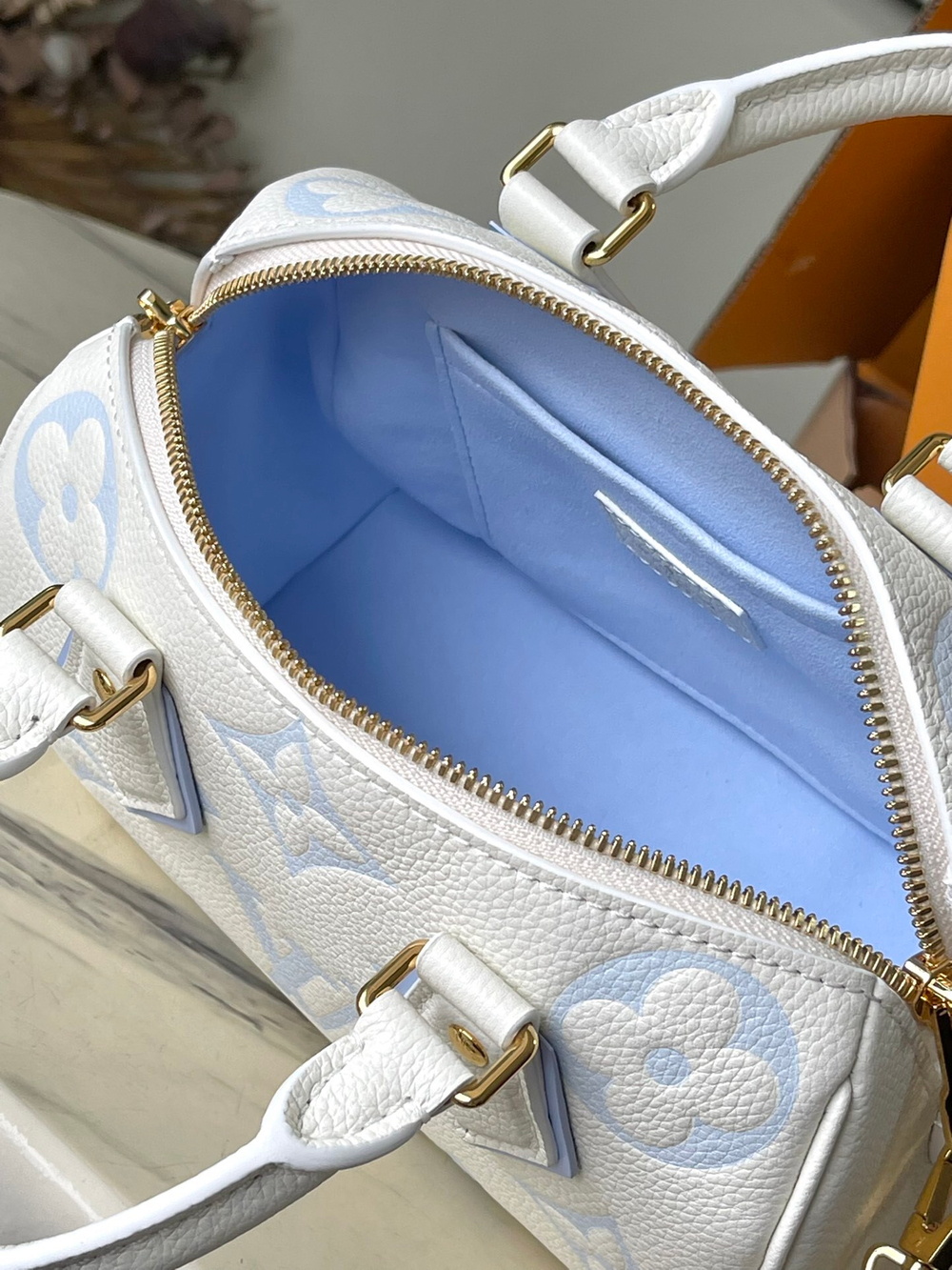 Louis Vuitton Speedy 20