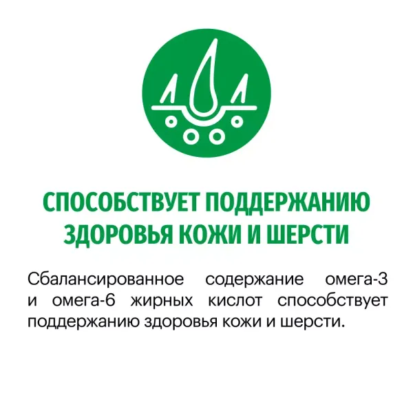 Сухой корм Karmy Mini Adult для взрослых собак мелких пород, с индейкой