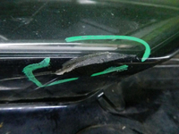 DSCN0238.jpg