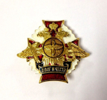 Значок металлический ВВС нового образца (ДиЧ)