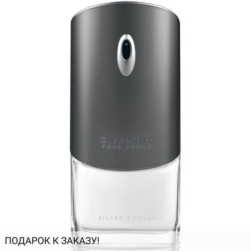 Givenchy Pour Homme Silver Edition