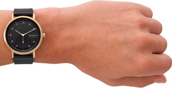 Мужские часы Skagen SKW6896