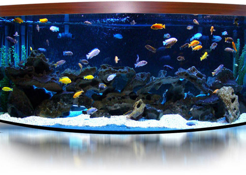 "Гольфстрим"