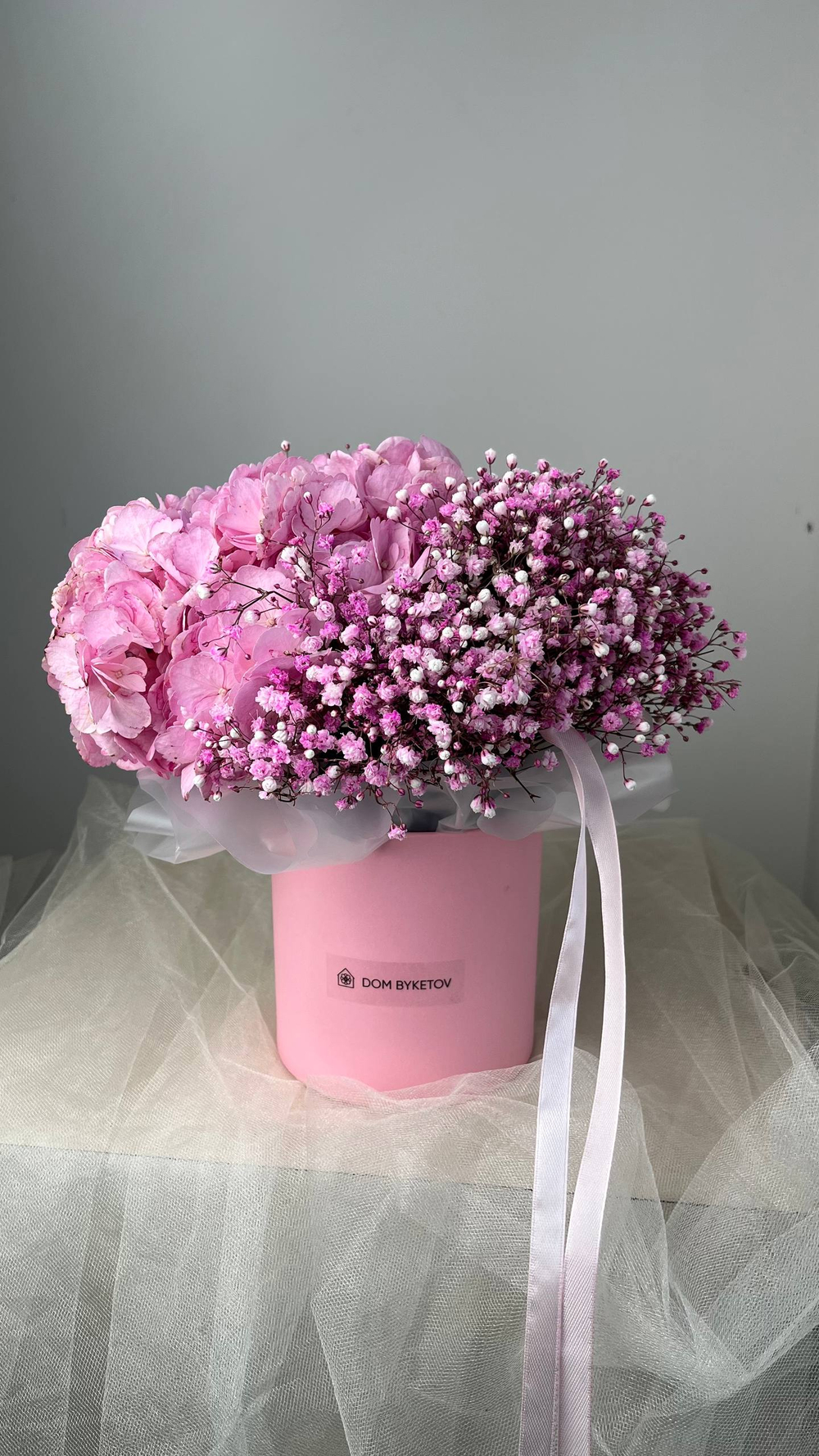 Купить гипсофилы Казань