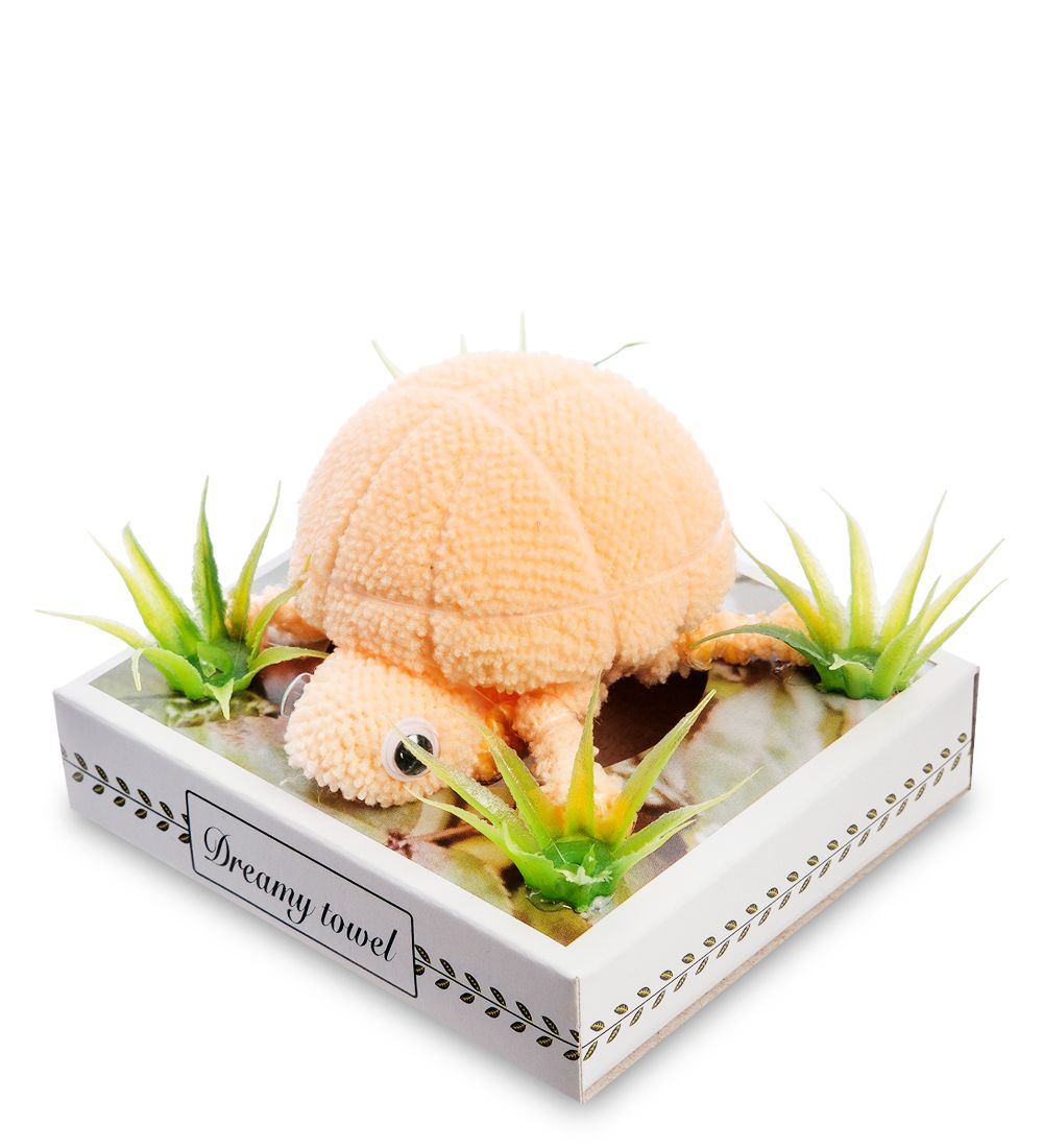 TL-01/5 Черепашка