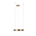 10013S Подвесной светильник LOFT IT Ring