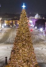 Светодинамическая елка ствольная: с встроенной гирляндой - "Альпийская" 14 м