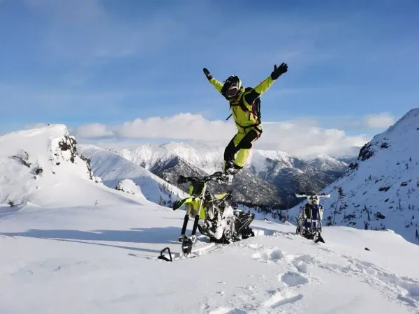 Российский бренд Dragonfly.