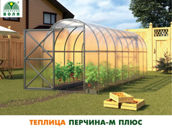 ТЕПЛИЦА ВОЛЯ ПЕРЧИНА-М ПЛЮС