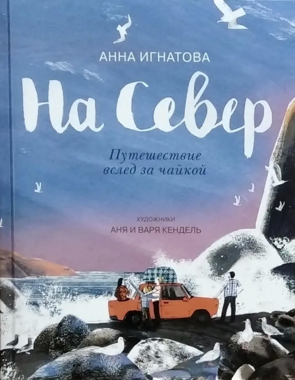 На Север. Путешествие вслед за чайкой
