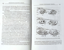 Энциклопедия выживания на море