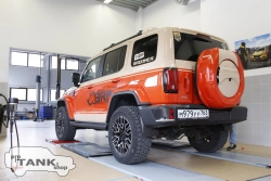 Накладки на расширители арок BRM для TANK 300 2021-2024г. (Чарский Оранж Orange (2Y))