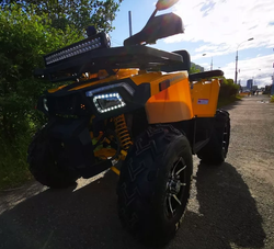 Квадроцикл MOTOLAND (МОТОЛЕНД) 200 WILD TRACK X PRO (баланс. вал)