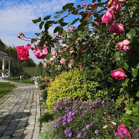 Одноэтажный дом 140 кв.м. на участке 16,5 соток