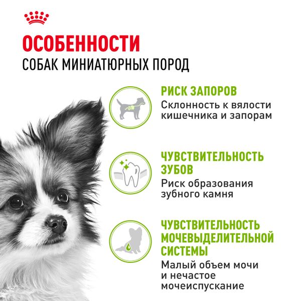 Сухой корм Royal Canin X-Small Adult для взрослых собак очень мелких размеров от 10 месяцев