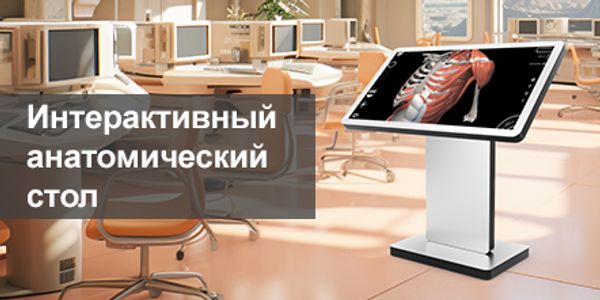Интерактивный анатомический стол. Современное решение для медицинского образования.