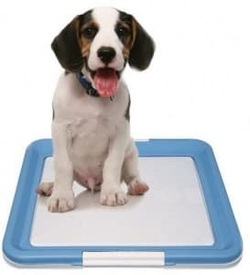 Туалет для собак средний 50*70см. (DOGMAN)