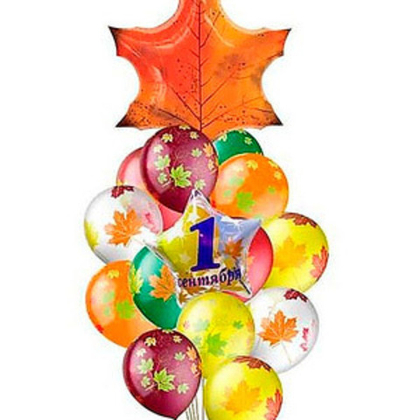 Букет из 17 шаров к 1 сентября