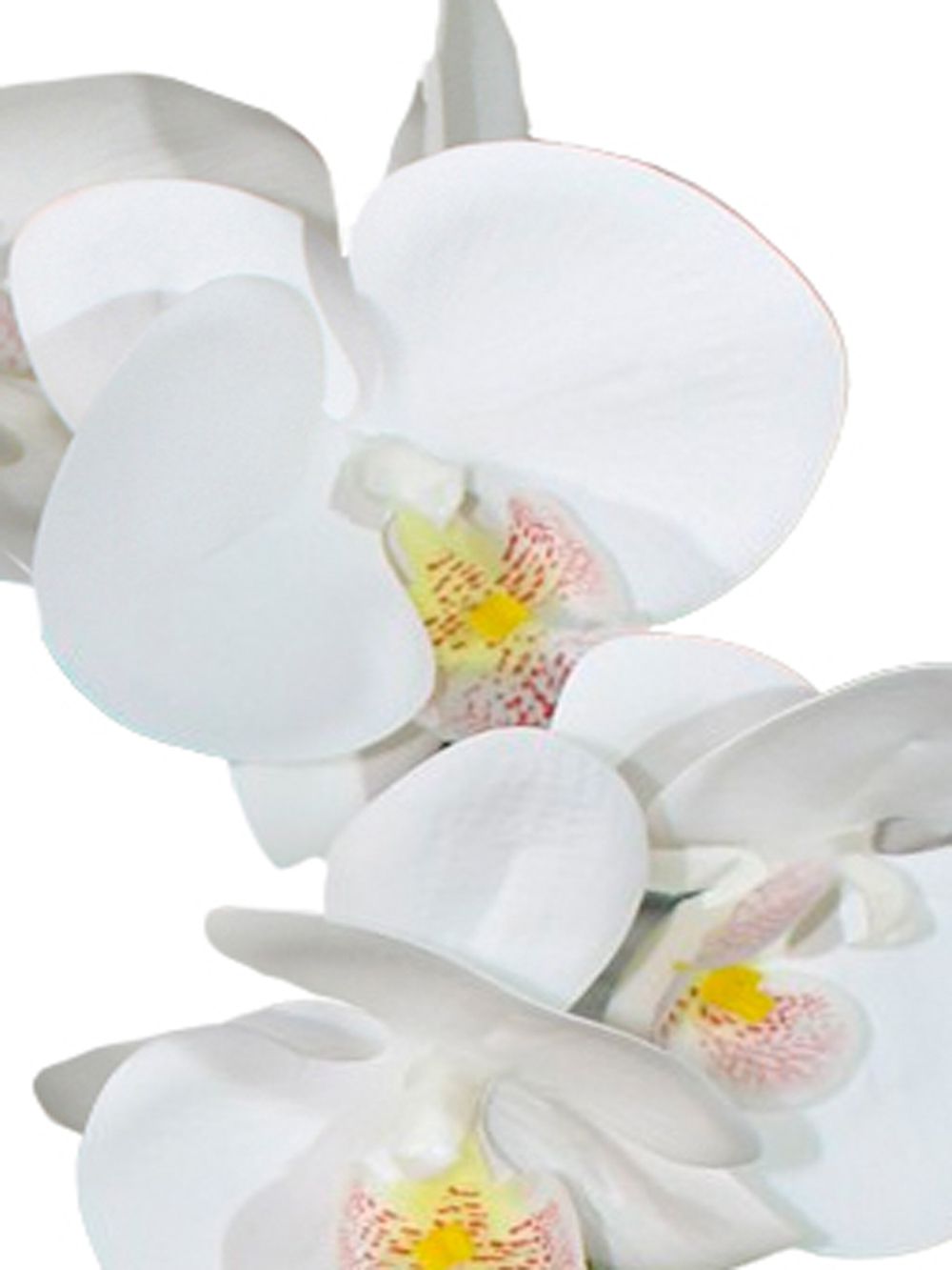 Искусственные цветы Орхидеи Люкс 3 ветки белые латекс 65см в кашпо