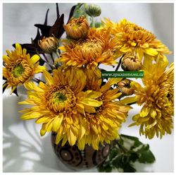 цветы как подсолнухи