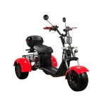Skyboard TRIKE BR40-3000 PRO FAST OFF-ROAD