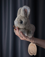 Кролик Тоша маленький (дымчатый)