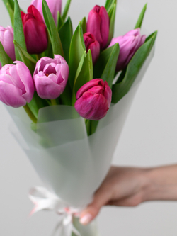 Тюльпаны микс