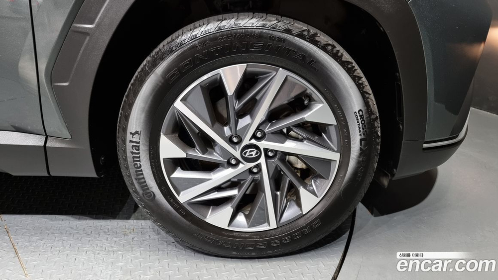 Hyundai Tucson Hybrid (NX4) Premium 2WD (01.2022)
