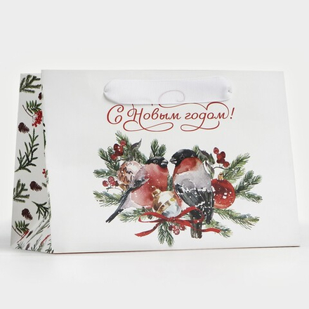 Пакет подарочный «Снегири», 20х14х13.2 см