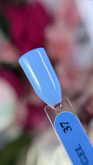 Гель-лак ENIGMA 6 мл. №37