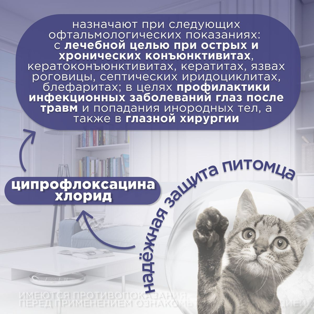 Капли глазные для профилактики и лечения болезней глаз АВЗ Ципровет для собак и кошек, 10 мл